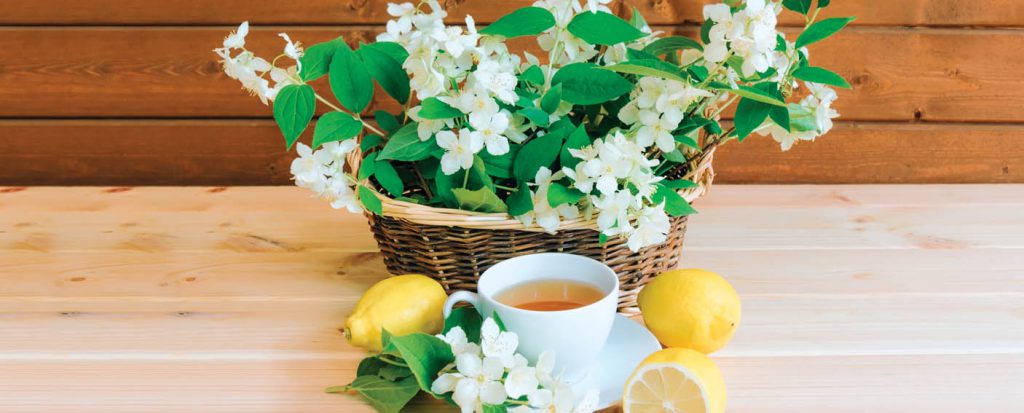 BLACK JASMINE