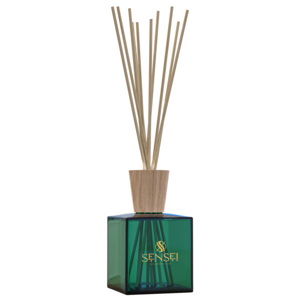 BREEZY LAND REED 2500ML
